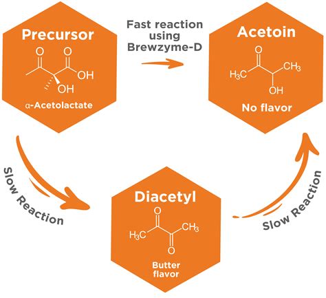 Why is diacetyl toxic?