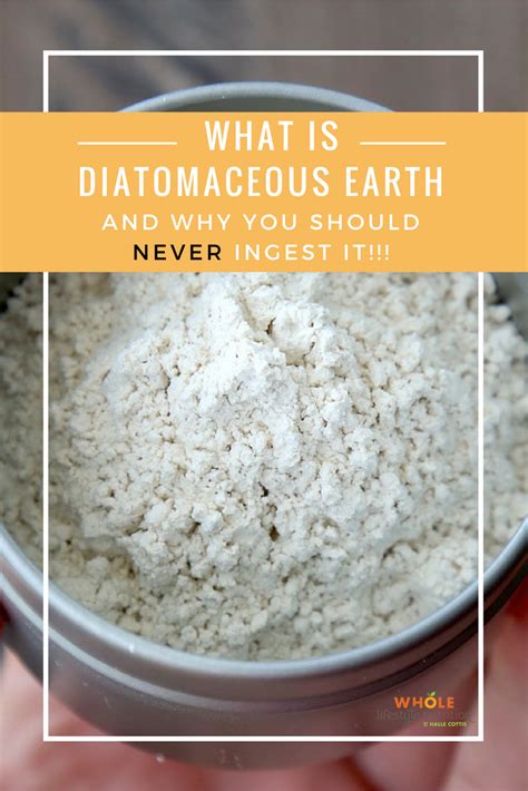 Why is diatomaceous earth not working?