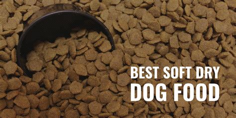 Why is dry dog food hard?