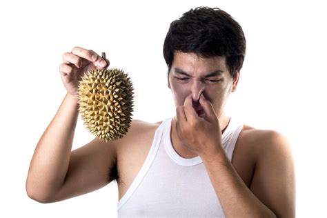 Why is durian stinky?