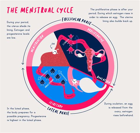 Why is eco cycle so long?