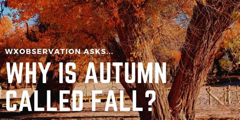 Why is fall called fall?