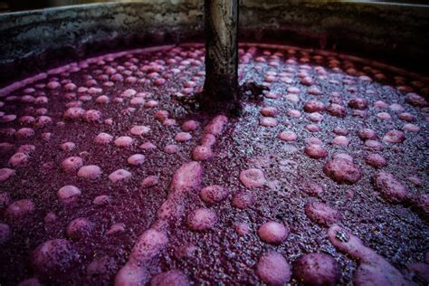 Why is fermentation important in wine making?
