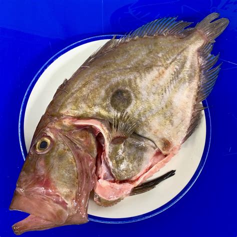 Why is fish called John Dory?