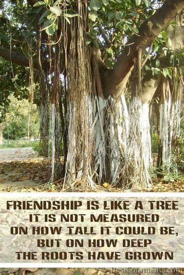 Why is friendship like a tree?