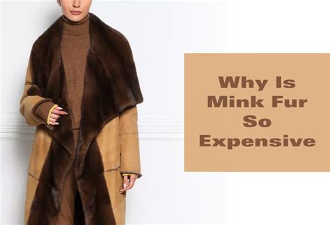 Why is fur so expensive?