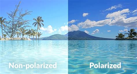 Why is glare polarized?