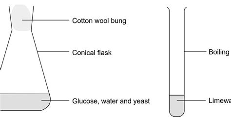 Why is glucose the preferred substrate for yeast?