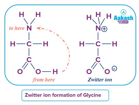 Why is glycine polar?