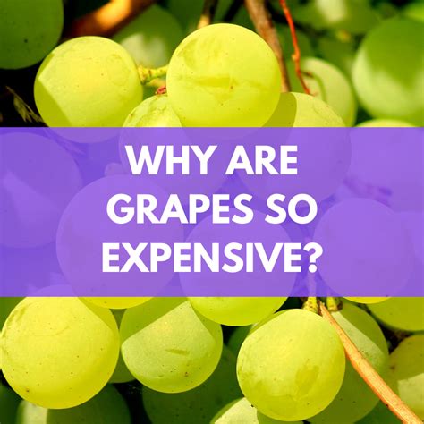 Why is grape juice so expensive?