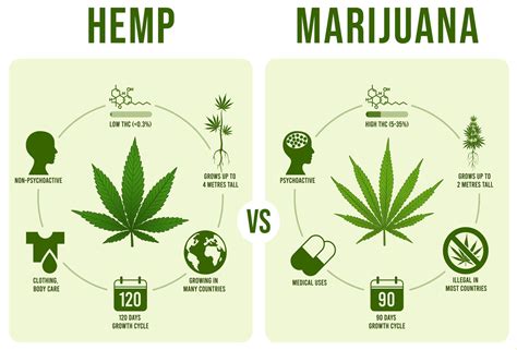 Why is hemp not used?