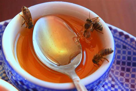 Why is honey toxic when heated?