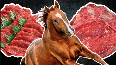 Why is horse meat forbidden?