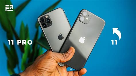 Why is iPhone 11 so popular?