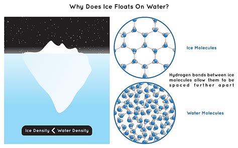 Why is ice denser than water?