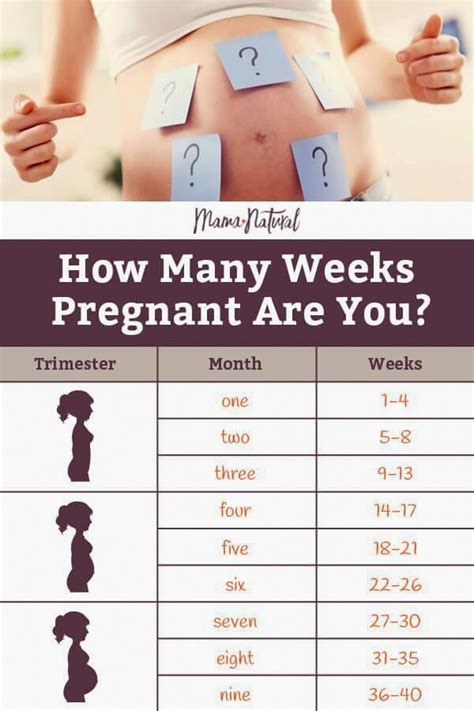 Why is it 9 months but 40 weeks?