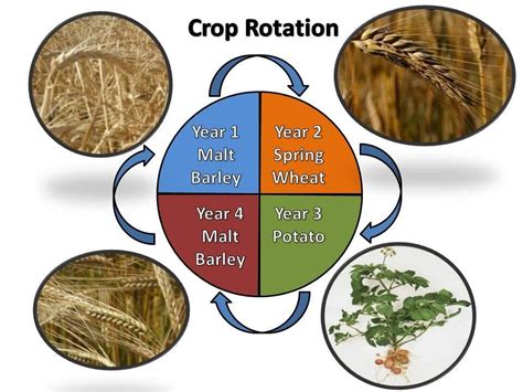 Why is it called a crop?