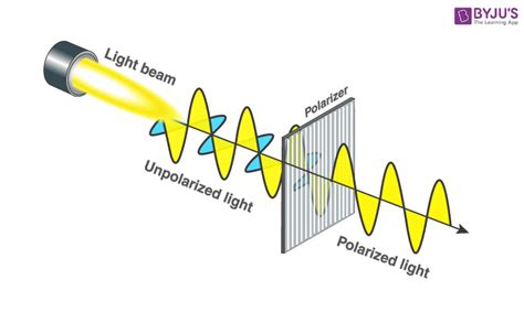 Why is it called polarization?