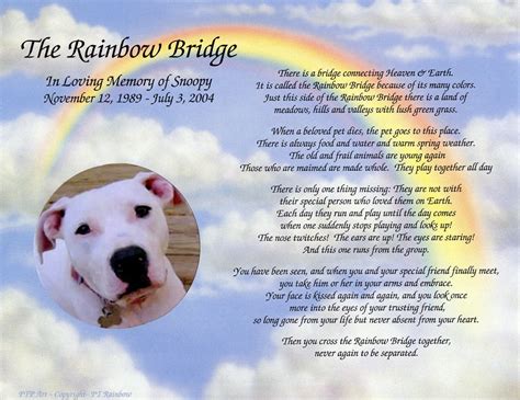 Why is it called the Rainbow Bridge when a pet dies?