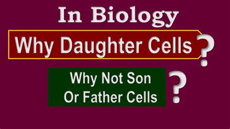 Why is it daughter cells and not son?