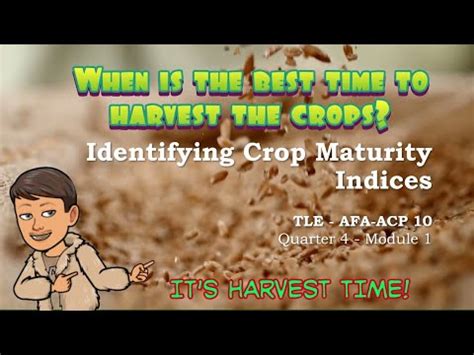 Why is it important to identify crop maturity?