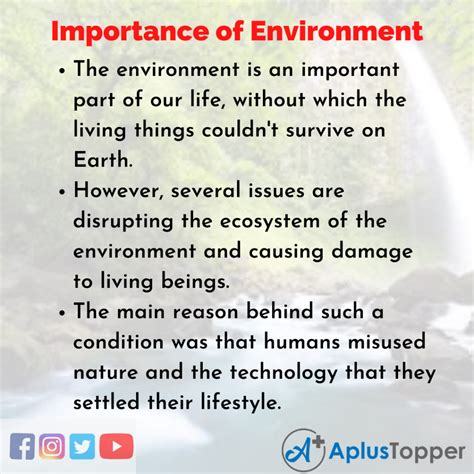 Why is it important to save the environment?