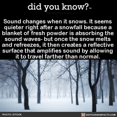 Why is it quieter outside when it snows?
