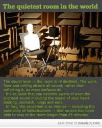 Why is it so hard to stay in the quietest room?