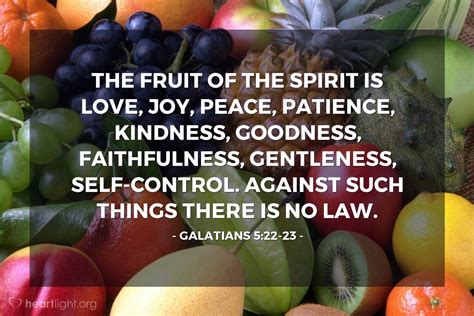 Why is it the fruit of the Spirit and not fruits?