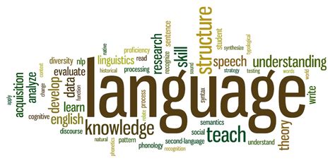 Why is language important in a profession?