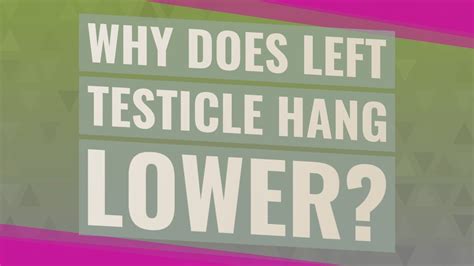 Why is left testicle lower?