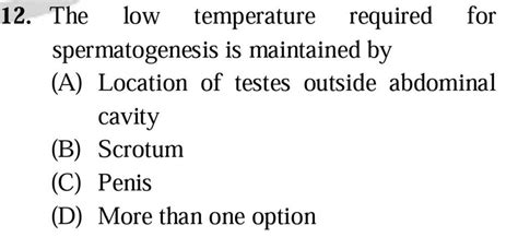 Why is low temperature needed for spermatogenesis?