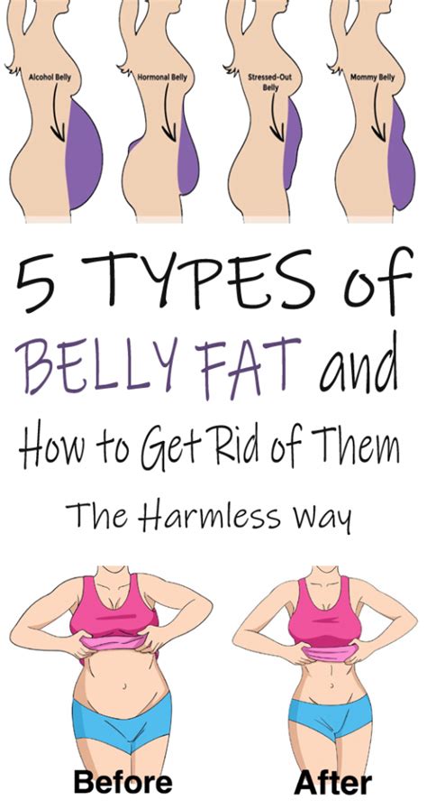 Why is lower belly fat hard to lose?