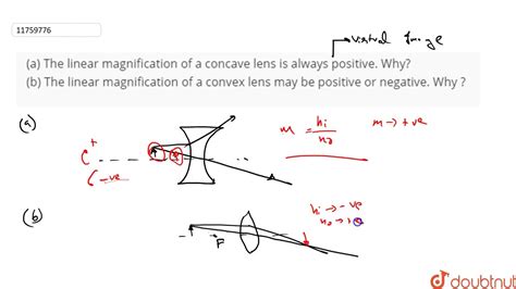 Why is magnification always positive?