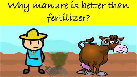 Why is manure better?