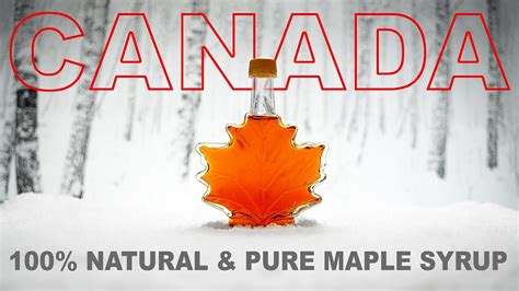 Why is maple so Canadian?