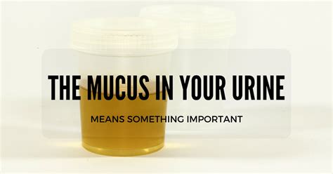 Why is mens urine sticky?