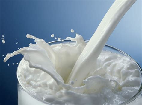 Why is milk so sweet?