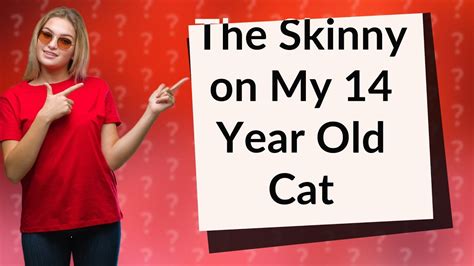 Why is my 14 year old cat so skinny?