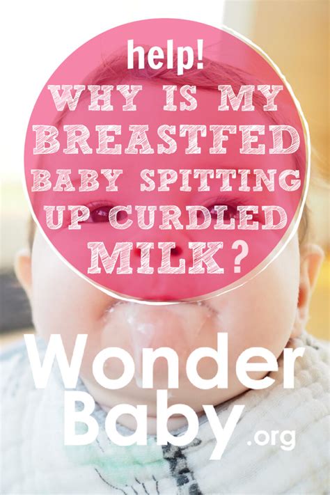 Why is my 2 year old throwing up curdled milk?