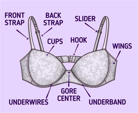 Why is my bra visible?