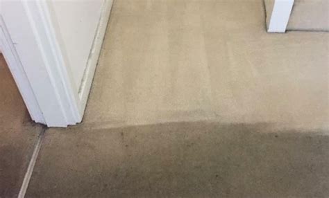 Why is my carpet still wet after BISSELL?