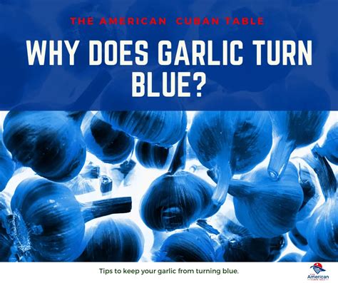 Why is my garlic blue?