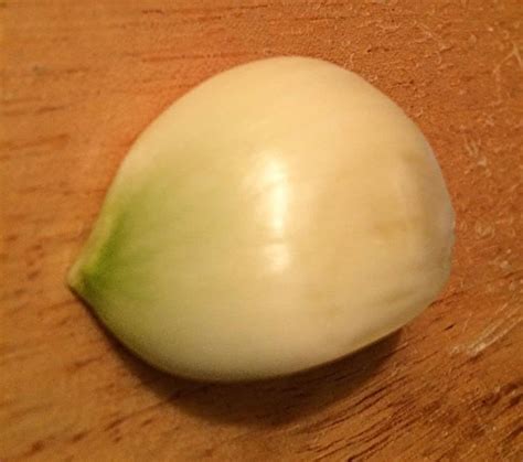 Why is my garlic so little?