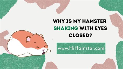 Why is my hamster's eye closed?