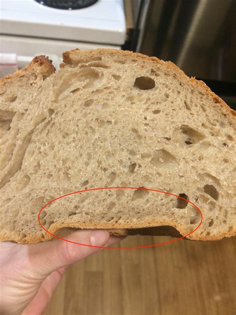 Why is my homemade bread soggy on the bottom?