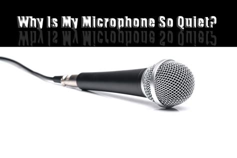 Why is my mic so quiet at 100?