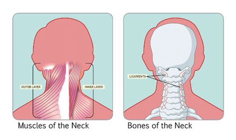Why is my neck so tight for no reason?