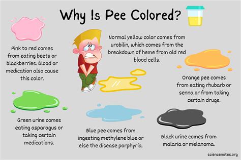 Why is my pee so yellow?