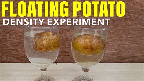 Why is my potato floating in water?